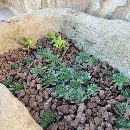 Vistas Del Maestrazgo Rurales Lejlighed *