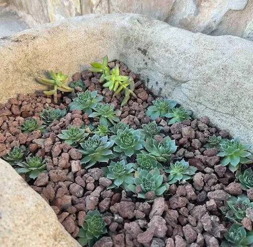 Vistas Del Maestrazgo Rurales Lejlighed *